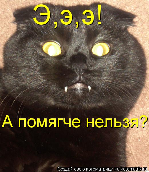 Э,э,э! А помягче нельзя?... Котоматрица: Э,э,э! А помягче нельзя?