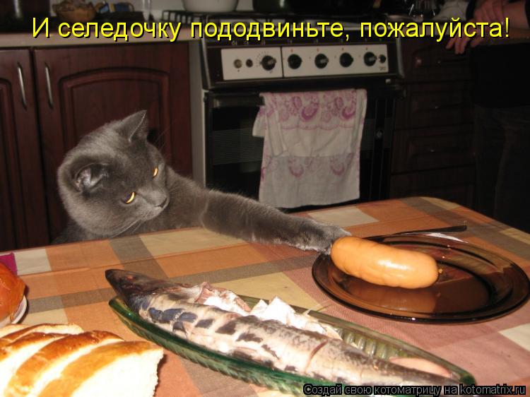И селедочку пододвиньте, пожалуйста!... Котоматрица: И селедочку пододвиньте, пожалуйста!