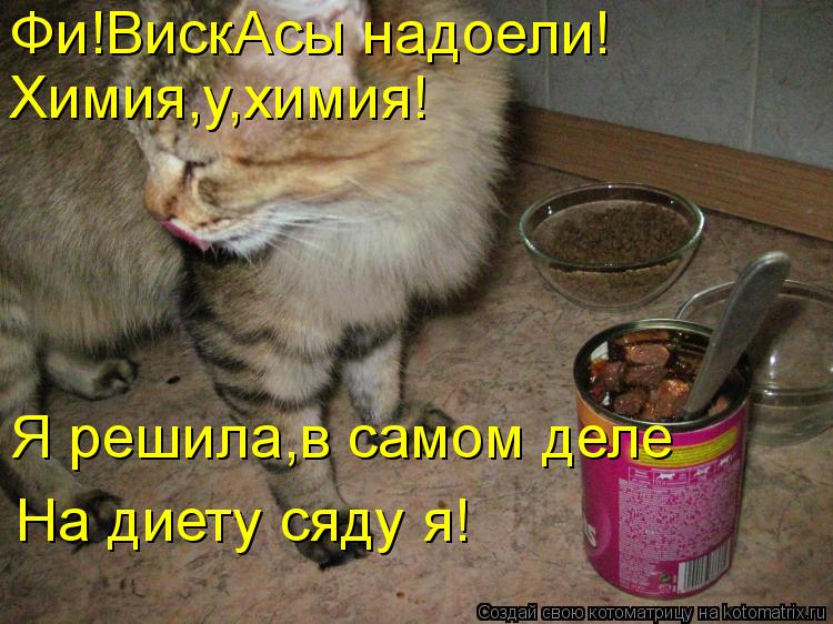 Фи!ВискАсы надоели! Химия,у,химия! Я решила,в самом деле На диету сяду я!... Котоматрица: Фи!ВискАсы надоели! Химия,у,химия! Я решила,в самом деле На диету сяду я!
