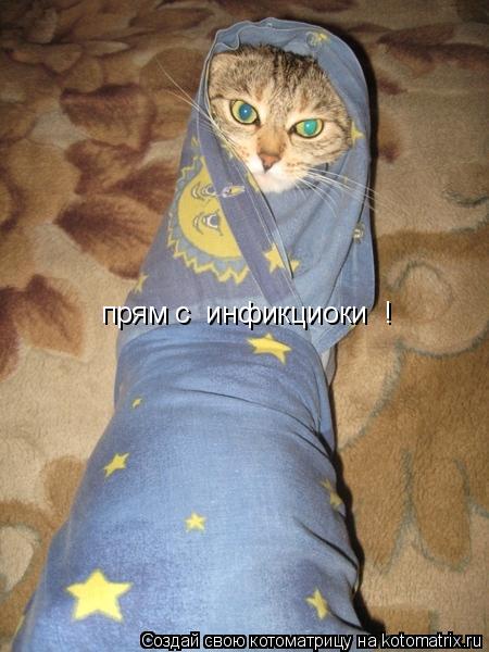 прям с инфикциоки !... Котоматрица: прям с инфикциоки !