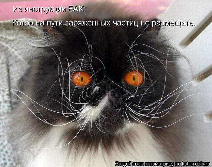 Из инструкции БАК: Котов на пути заряженных частиц не размещать.... Котоматрица: Из инструкции БАК: Котов на пути заряженных частиц не размещать.