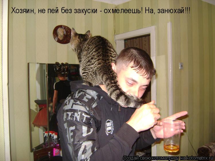Хозяин, не пей без закуски - охмелеешь! На, занюхай!!!... Котоматрица: Хозяин, не пей без закуски - охмелеешь! На, занюхай!!!