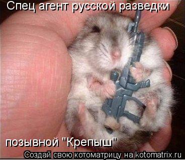 Спец агент русской разведки позывной "Крепыш"... Котоматрица: Спец агент русской разведки позывной "Крепыш"
