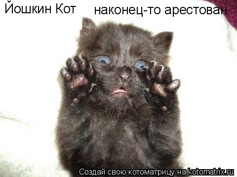 Йошкин Кот наконец-то арестован... Котоматрица: Йошкин Кот наконец-то арестован