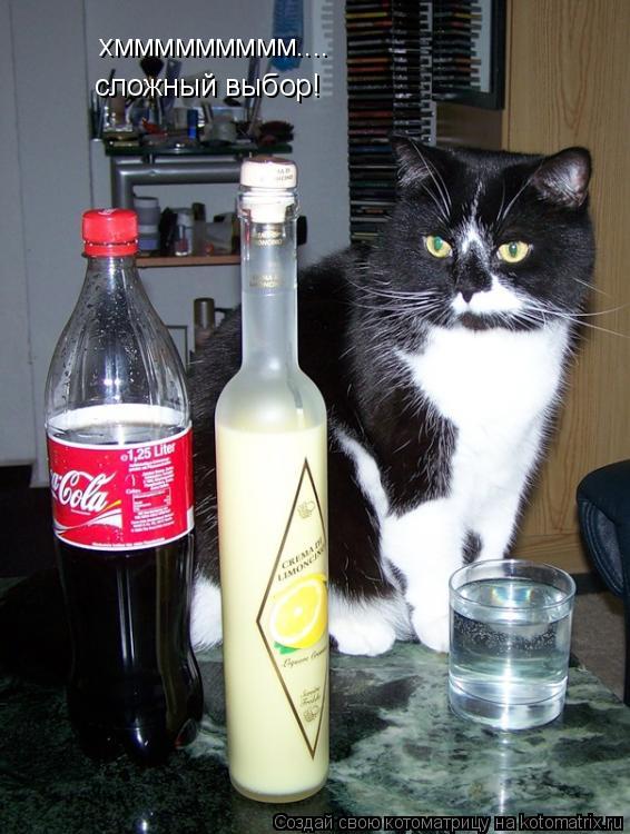 хммммммммм.... сложный выбор!... Котоматрица: хммммммммм.... сложный выбор!