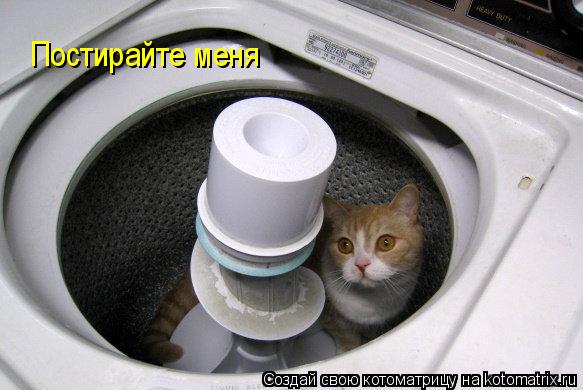 Постирайте меня... Котоматрица: Постирайте меня