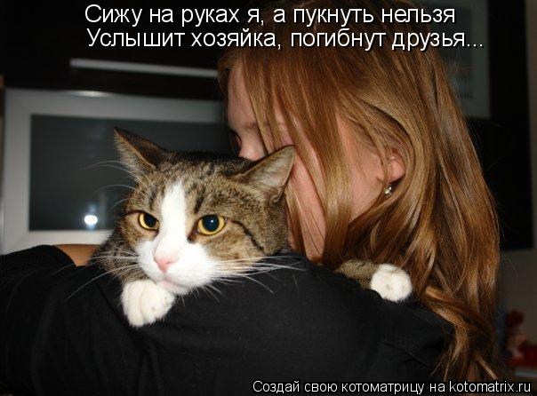 Сижу на руках я, а пукнуть нельзя Услышит хозяйка, погибнут друзья...... Котоматрица: Сижу на руках я, а пукнуть нельзя Услышит хозяйка, погибнут друзья...