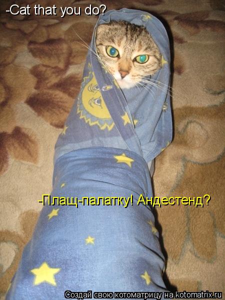 -Cat that you do? -Плащ-палатку! Андестенд?... Котоматрица: -Cat that you do? -Плащ-палатку! Андестенд?
