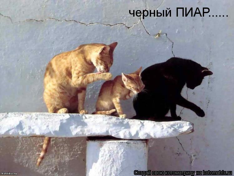 черный ПИАР......... Котоматрица: черный ПИАР......