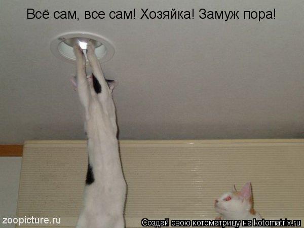 Всё сам, все сам! Хозяйка! Замуж пора!... Котоматрица: Всё сам, все сам! Хозяйка! Замуж пора!