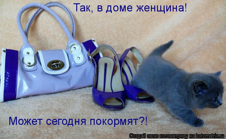 Так, в доме женщина! Может сегодня покормят?!... Котоматрица: Так, в доме женщина! Может сегодня покормят?!