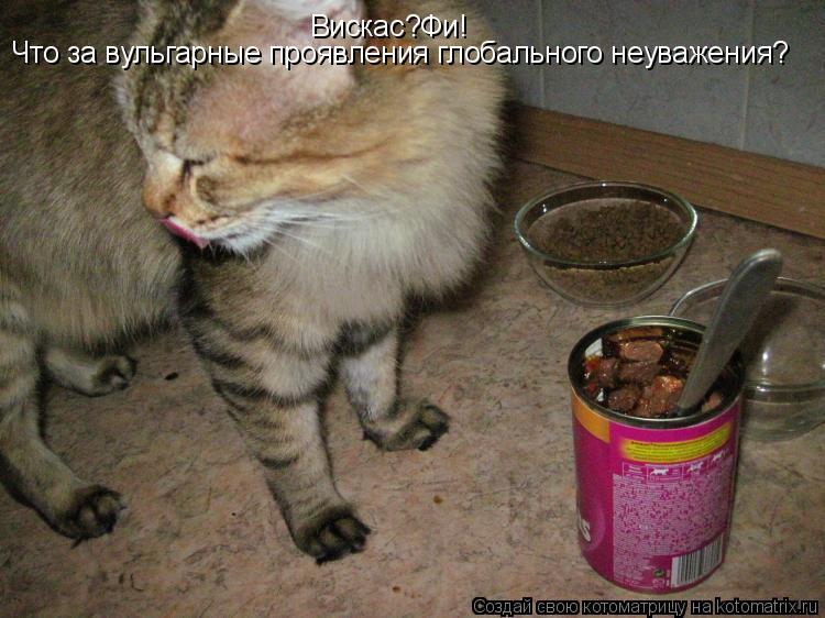 Вискас?Фи! Что за вульгарные проявления глобального неуважения?... Котоматрица: Вискас?Фи! Что за вульгарные проявления глобального неуважения?