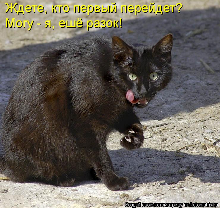 Ждете, кто первый перейдет? Могу - я, ешё разок!... Котоматрица: Ждете, кто первый перейдет? Могу - я, ешё разок!