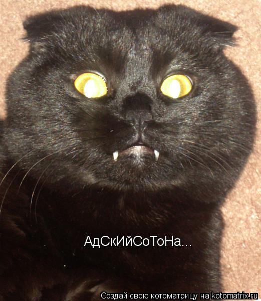 АдСкИйСоТоНа...... Котоматрица: АдСкИйСоТоНа...