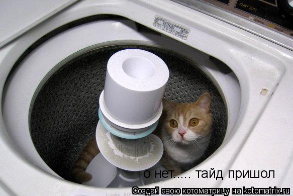 о нет..... тайд пришол... Котоматрица: о нет..... тайд пришол