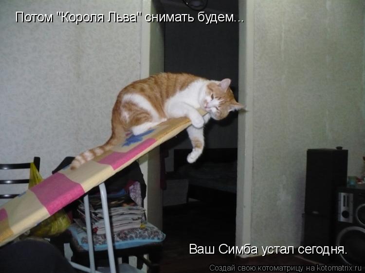 Потом "Короля Льва" снимать будем... Ваш Симба устал сегодня.... Котоматрица: Потом "Короля Льва" снимать будем... Ваш Симба устал сегодня.