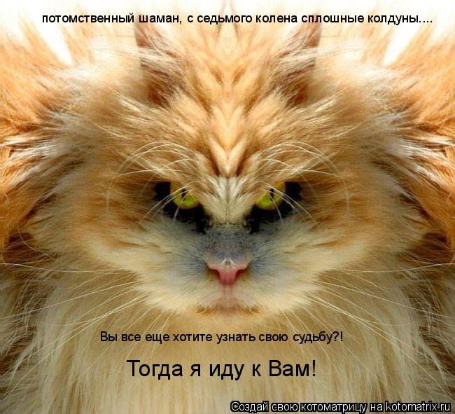потомственный шаман, с седьмого колена сплошные колдуны.... Вы все еще хотите узнать свою судьбу?! То... Котоматрица: потомственный шаман, с седьмого колена сплошные колдуны.... Вы все еще хотите узнать свою судьбу?! Тогда я иду к Вам!