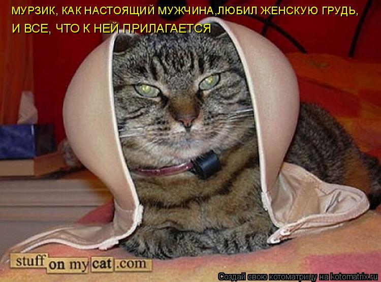 И ВСЕ, ЧТО К НЕЙ ПРИЛАГАЕТСЯ МУРЗИК, КАК НАСТОЯЩИЙ МУЖЧИНА,ЛЮБИЛ ЖЕНСКУЮ ГРУДЬ,... Котоматрица: И ВСЕ, ЧТО К НЕЙ ПРИЛАГАЕТСЯ МУРЗИК, КАК НАСТОЯЩИЙ МУЖЧИНА,ЛЮБИЛ ЖЕНСКУЮ ГРУДЬ,