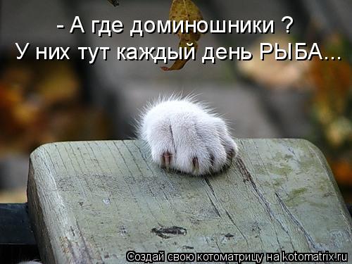 Котоматрица: - А где доминошники ? У них тут каждый день РЫБА...