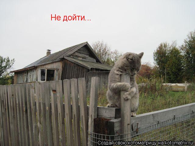 Не дойти...... Котоматрица: Не дойти...