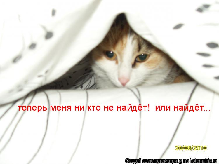 теперь меня ни кто не найдёт! или найдёт...... Котоматрица: теперь меня ни кто не найдёт! или найдёт...