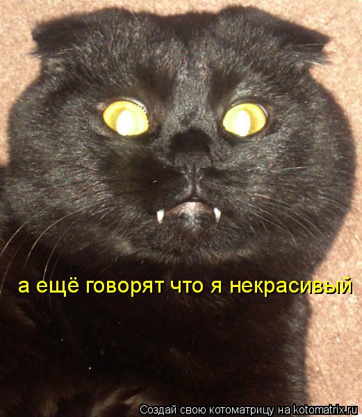 а ещё говорят что я некрасивый... Котоматрица: а ещё говорят что я некрасивый