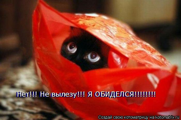 Нет!!! Не вылезу!!! Я ОБИДЕЛСЯ!!!!!!!! Нет!!! Не вылезу!!! Я ОБИДЕЛСЯ!!!!!!!!... Котоматрица: Нет!!! Не вылезу!!! Я ОБИДЕЛСЯ!!!!!!!! Нет!!! Не вылезу!!! Я ОБИДЕЛСЯ!!!!!!!!