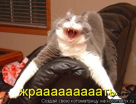 жрааааааааать... Котоматрица: жрааааааааать