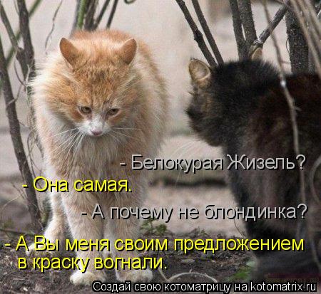 - Белокурая Жизель? - Она самая. - А почему не блондинка? - А Вы меня своим предложением в краску во... Котоматрица: - Белокурая Жизель? - Она самая. - А почему не блондинка? - А Вы меня своим предложением в краску вогнали.