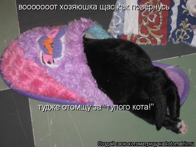 вооооооот хозяюшка щас как повернусь тудже отомщу за "тупого кота!"... Котоматрица: вооооооот хозяюшка щас как повернусь тудже отомщу за "тупого кота!"