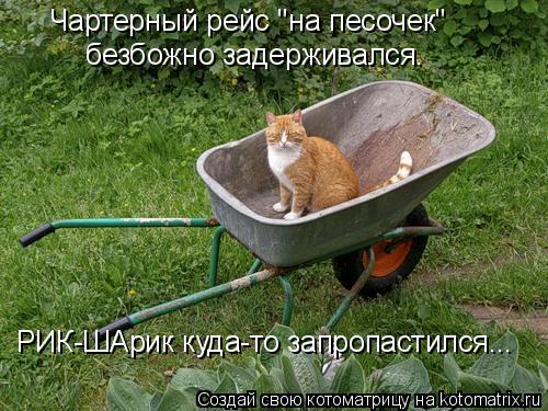 РИК-ШАрик куда-то запропастился... Чартерный рейс ''на песочек" безбожно задерживался.... Котоматрица: РИК-ШАрик куда-то запропастился... Чартерный рейс ''на песочек" безбожно задерживался.