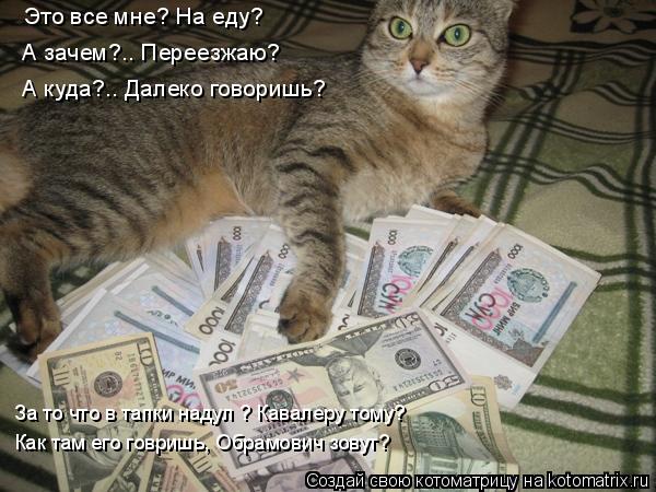 Это все мне? На еду? А зачем?.. Переезжаю? А куда?.. Далеко говоришь? За то что в тапки надул ? Кавал... Котоматрица: Это все мне? На еду? А зачем?.. Переезжаю? А куда?.. Далеко говоришь? За то что в тапки надул ? Кавалеру тому? Как там его говришь, Обрамович зовут