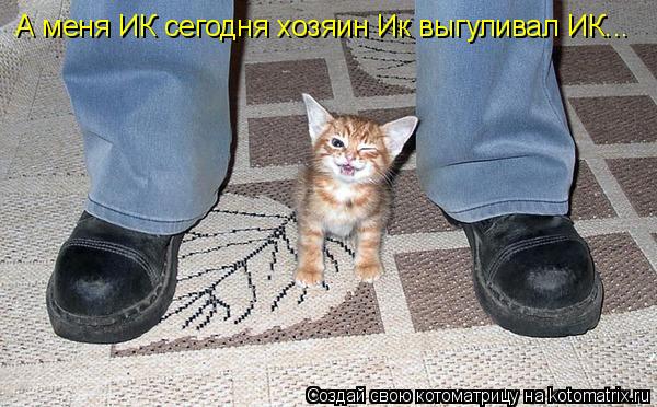 А меня ИК сегодня хозяин Ик выгуливал ИК...... Котоматрица: А меня ИК сегодня хозяин Ик выгуливал ИК...