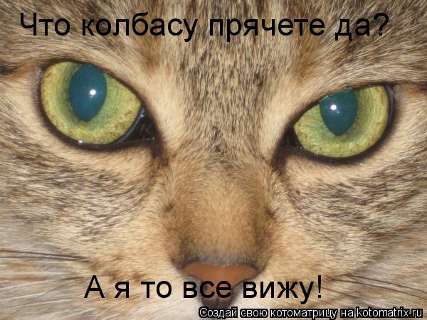 Что колбасу прячете да? А я то все вижу!... Котоматрица: Что колбасу прячете да? А я то все вижу!
