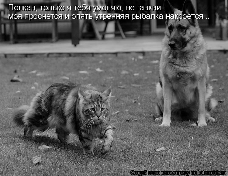 Полкан, только я тебя умоляю, не гавкни... моя проснется и опять утренняя рыбалка накроется...... Котоматрица: Полкан, только я тебя умоляю, не гавкни... моя проснется и опять утренняя рыбалка накроется...