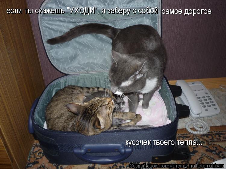 если ты скажешь "УХОДИ", я заберу с собой самое дорогое кусочек твоего тепла...... Котоматрица: если ты скажешь "УХОДИ", я заберу с собой самое дорогое кусочек твоего тепла...