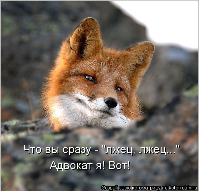 Что вы сразу - "лжец, лжец..." Адвокат я! Вот!... Котоматрица: Что вы сразу - "лжец, лжец..." Адвокат я! Вот!