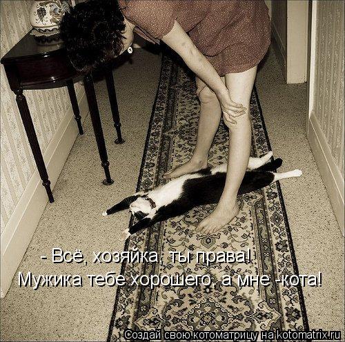 - Всё, хозяйка, ты права! Мужика тебе хорошего, а мне -кота!... Котоматрица: - Всё, хозяйка, ты права! Мужика тебе хорошего, а мне -кота!