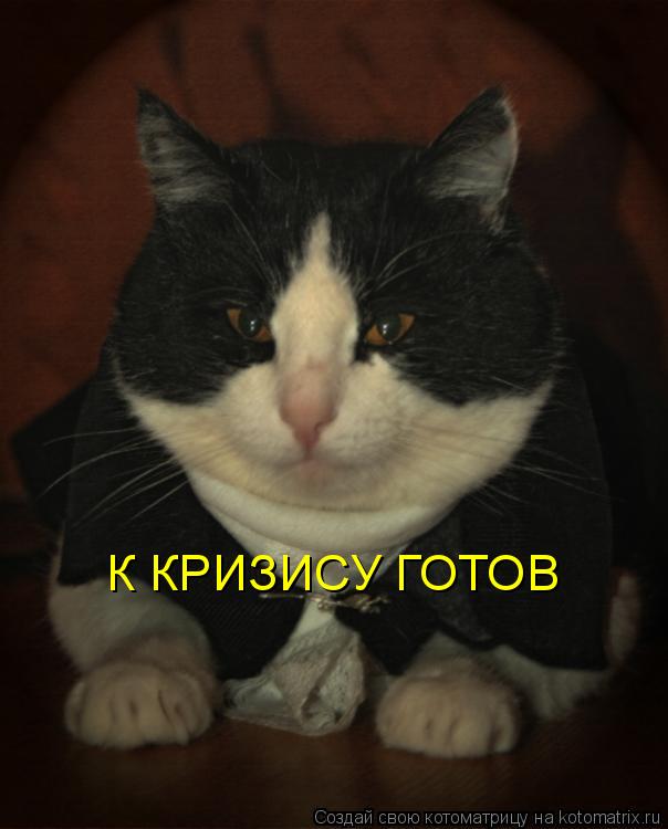 К КРИЗИСУ ГОТОВ... Котоматрица: К КРИЗИСУ ГОТОВ