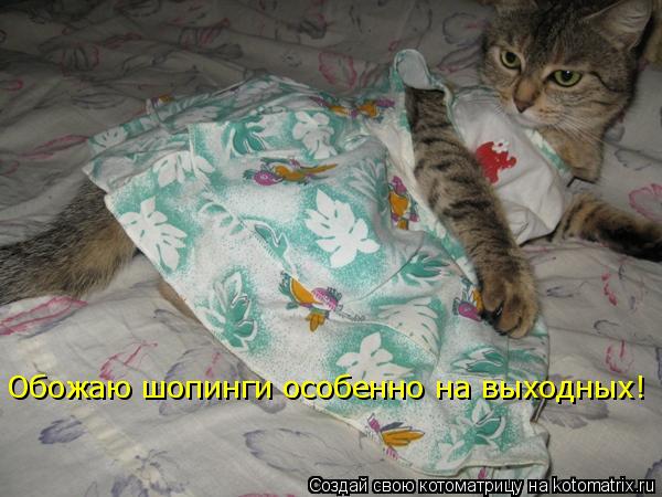 Обожаю шопинги особенно на выходных!... Котоматрица: Обожаю шопинги особенно на выходных!