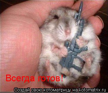 Всегда готов!... Котоматрица: Всегда готов!