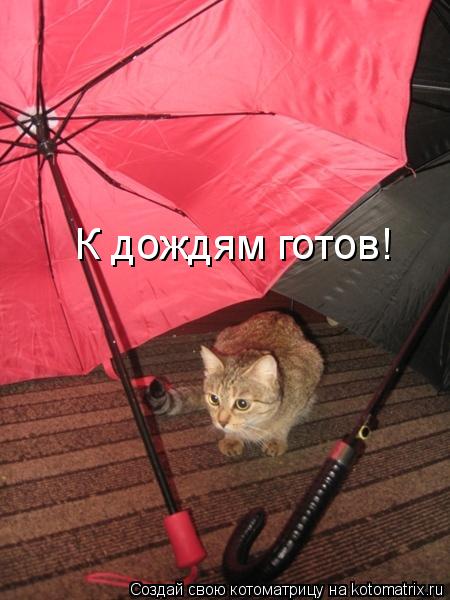 К дождям готов!... Котоматрица: К дождям готов!