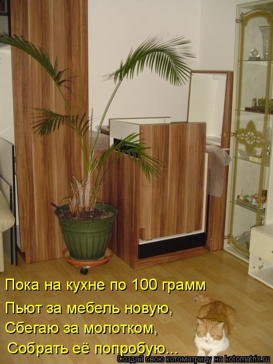 Сбегаю за молотком, Собрать её попробую... Пока на кухне по 100 грамм Пьют за мебель новую,... Котоматрица: Сбегаю за молотком, Собрать её попробую... Пока на кухне по 100 грамм Пьют за мебель новую,