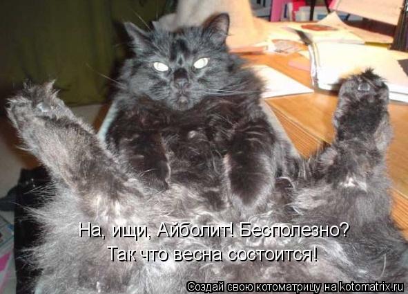 На, ищи, Айболит! Бесполезно? Так что весна состоится!... Котоматрица: На, ищи, Айболит! Бесполезно? Так что весна состоится!