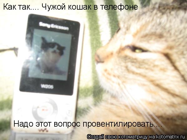 Как так.... Чужой кошак в телефоне Надо этот вопрос провентилировать....... Котоматрица: Как так.... Чужой кошак в телефоне Надо этот вопрос провентилировать....