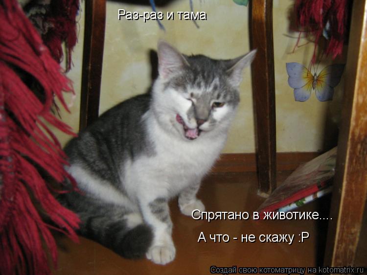Раз-раз и тама Спрятано в животике.... А что - не скажу :Р... Котоматрица: Раз-раз и тама Спрятано в животике.... А что - не скажу :Р
