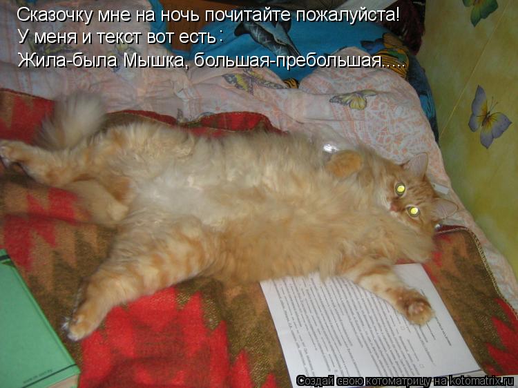 Сказочку мне на ночь почитайте пожалуйста! У меня и текст вот есть : Жила-была Мышка, большая-преболь... Котоматрица: Сказочку мне на ночь почитайте пожалуйста! У меня и текст вот есть : Жила-была Мышка, большая-пребольшая.....