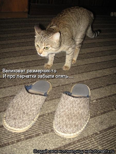 Великоват размерчик-то И про перчатки забыли опять....... Котоматрица: Великоват размерчик-то И про перчатки забыли опять....