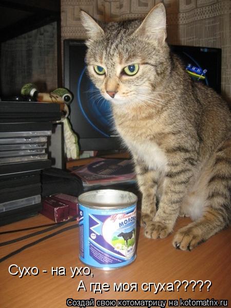 Сухо - на ухо, А где моя сгуха?????... Котоматрица: Сухо - на ухо, А где моя сгуха?????