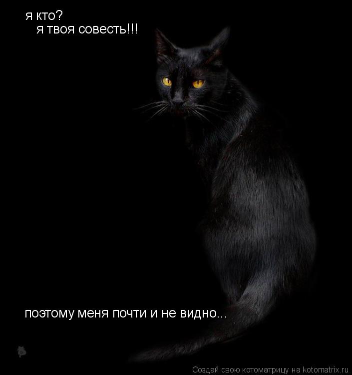 я кто? я твоя совесть!!! поэтому меня почти и не видно...... Котоматрица: я кто? я твоя совесть!!! поэтому меня почти и не видно...